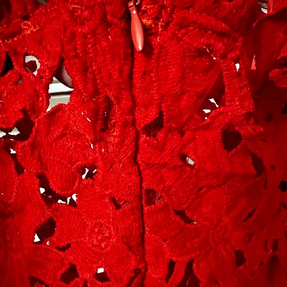 Hot Red Dress - worn once! 🔥 Still in excellent condition!! Classy!! XL 14/16 - Picture 13 of 13